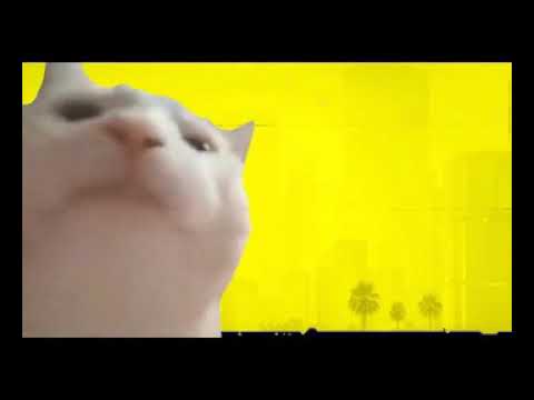 Cyberpunk 2077 -  Cat vibing 1 hour Johnny Silverhand's Theme (Cello Version)