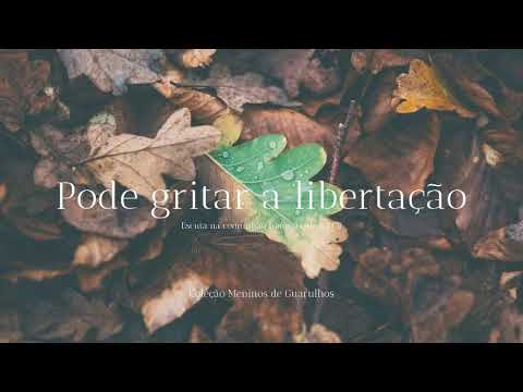 Pode Gritar A Libertação - Violão Cifra CCB