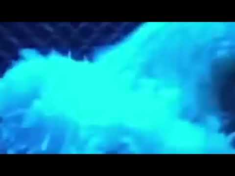 Brc " Vrijeme Je Za Rimu " verse ( album Dečki 'Z Bloka )