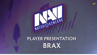 Na`Vi.US.Brax - The International 4 Player Profile