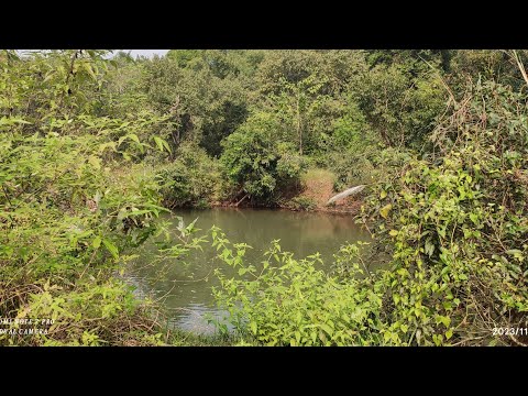 River vlog //Nadira Sundarjya//beutiful nature @bhagyabati9467 #odisha #vlog #nature