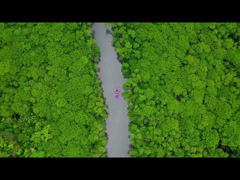 動画7