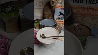 Feed my cats 🍽 #asmr #asmrcat #cat #catshorts #catfeeding #pet #cutecat #cateating #youtube #foryou