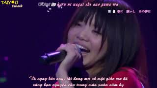 [Vietsub+Kara] SAKURA - いきものがかり Ikimonogakari