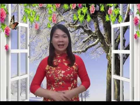 DẠY TRẺ NHẬN BIẾT CHIỀU CAO 2 ĐỐI TƯỢNG