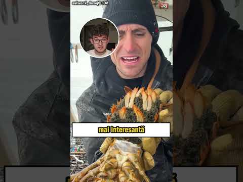Ce fac PESCARII cu HOMARII care depun OUA (Alex Hada Reacts) #shorts