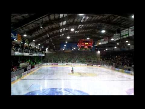 scl tiger feiern in grün 2011