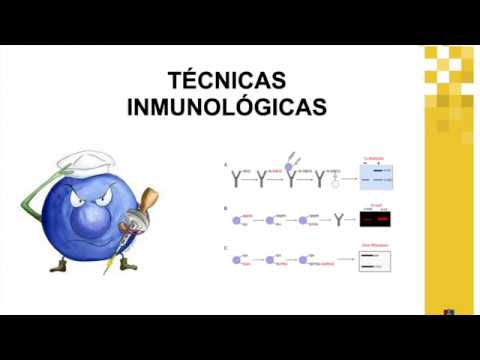 23 Clase   Técnicas Inmunológicas