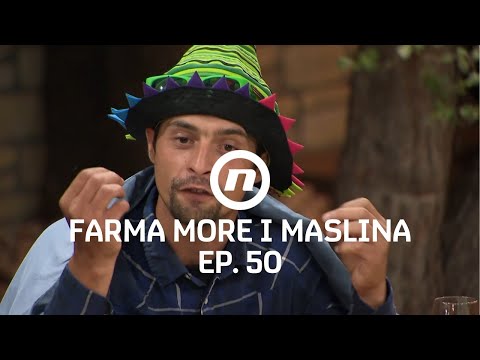 Josip se obrušio na Stjepana- Epizoda 50 | Farma More i Maslina