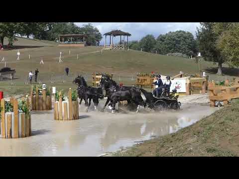 54 EXELL Boyd, AUS, FEI WCH M A 4, Pratoni del Vivaro ITA, Marathon, Ob 7, 24 09 2022