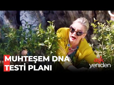 Şeytana Papucunu Ters Giydiren Plan -  @AskYenıdenDizi​