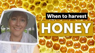 BEEKEEPING 101 - How Beekeepers Know When to Harvest Honey