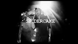 Korn - Too late I&#39;m dead (Spidercake Bootleg)