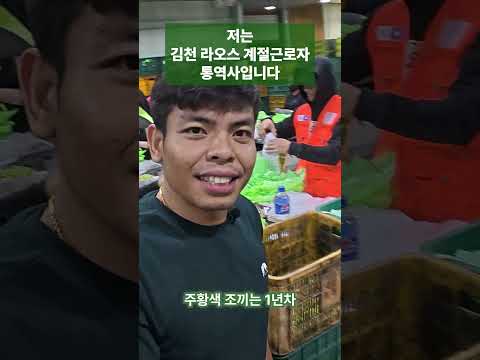 부족한 농가 일손, 라오스 계절근로자가 도와요