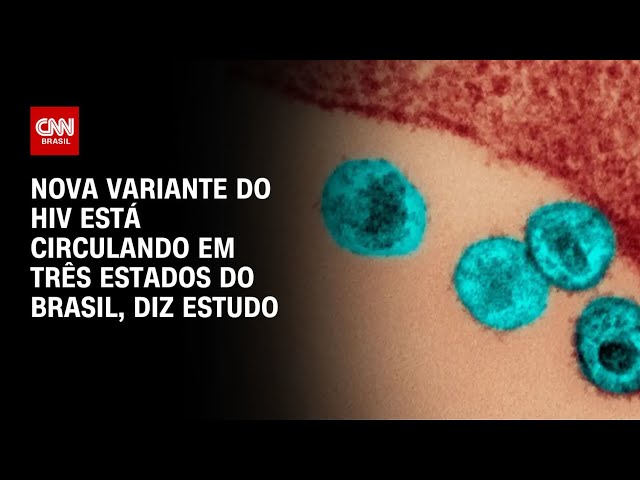 Nova variante do HIV está circulando em três estados do Brasil, diz estudo | ARENA CNN