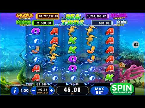 Sea Turtle – Video Gameplay