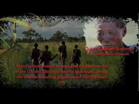 Homo Sapiens: Who Are We?