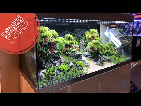 OASE HighLine 300 Bonsai Aquascape