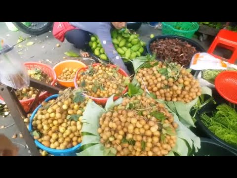 Cambodian Street Food-  Amazing Food Tour At Deum Apel Market  - Cambodia part 3