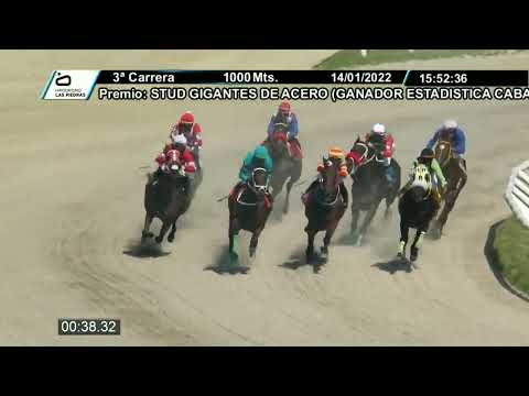 220114 c03 - WIR DANCER - HIPODROMO LAS PIEDRAS