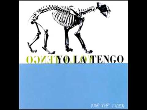 The Cone of Silence - Yo La Tengo