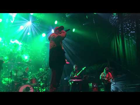 *Pawbeats* Kali - Pacyfka *LIVE* [Kraków 2019]