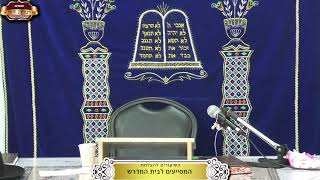 בית המדרש "תורת דוד" ¤ שידור חי ¤ ט"ו טבת תשפ"ו (4.1.2026) (מוסדות תורת דוד) - התמונה מוצגת ישירות מתוך אתר האינטרנט יוטיוב. זכויות היוצרים בתמונה שייכות ליוצרה. קישור קרדיט למקור התוכן נמצא בתוך דף הסרטון