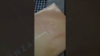 this amazing indie rock band made only ONE album