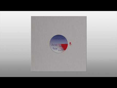 Gamma Intel - Beyond Doubt (PNKMN26)