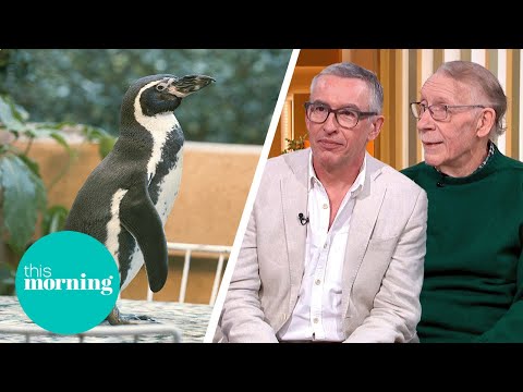 Steve Coogan and the Amazing True Story Behind ‘The Penguin Lessons’ | This Morning