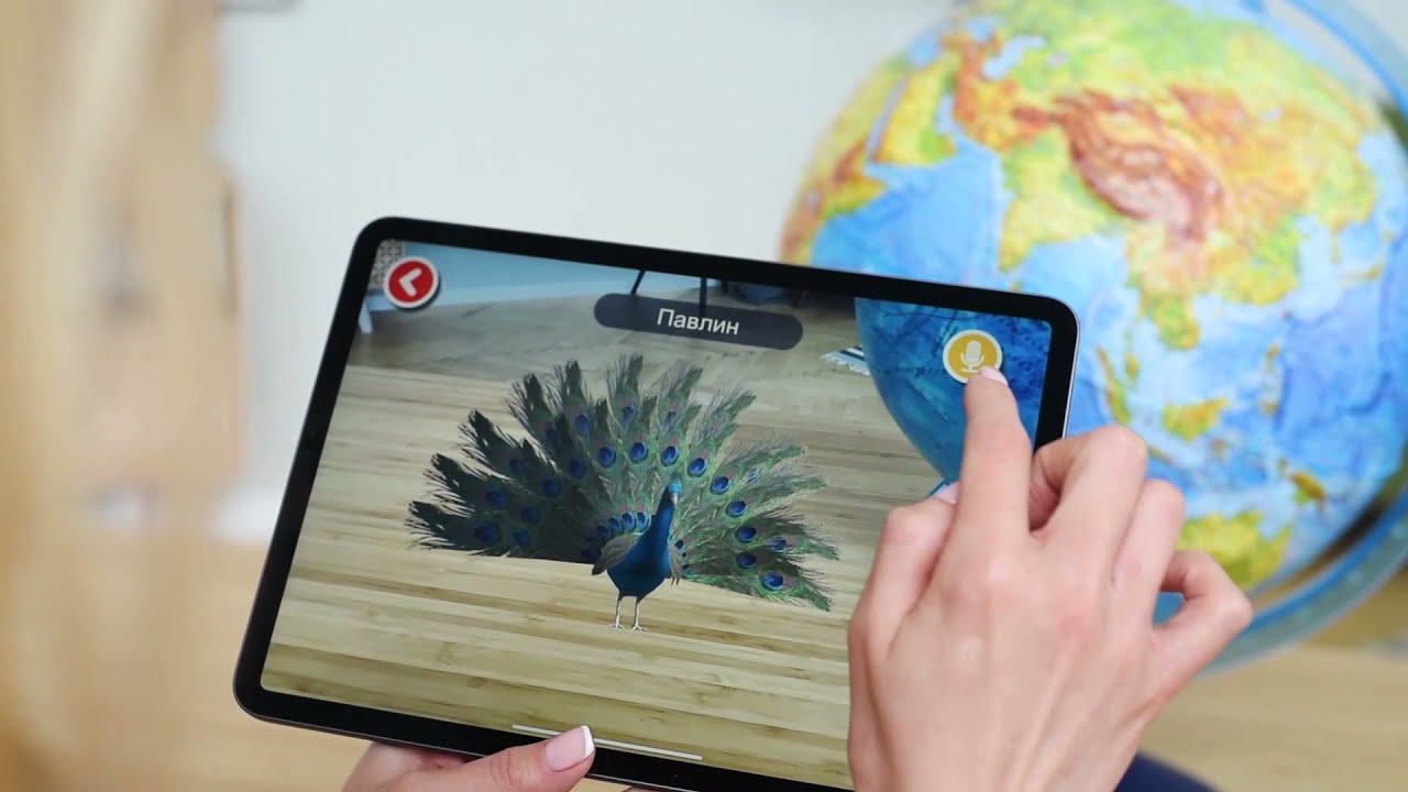 Alayskys glóbus 25cm ZOO pre najmenších s podsvietením