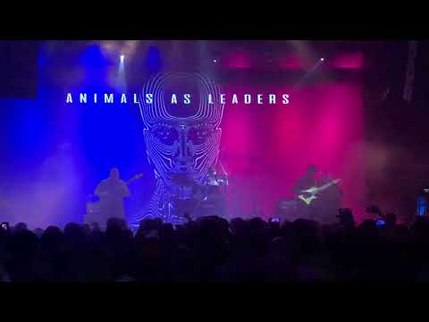 Matt Garstka's insane pocket and chops on Nephele Live in Moscow