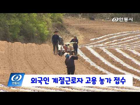 [안동 현장 리포트] 8월 18일, 2027 외국인 계절근로자 고용 농가 접수 9/11까지