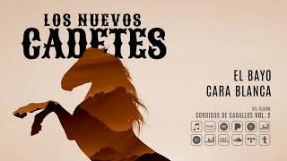 Los Nuevos Cadetes - El Bayo Cara Blanca (Audio Oficial)