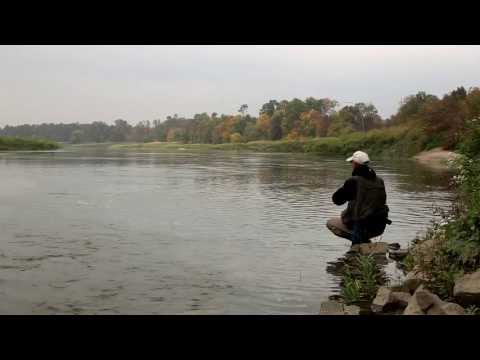 Spirit 9 i Fantom łowią jesienne bolenie