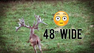 Widest Buck on Earth | World Record ?