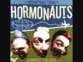 The Hormonauts - That man in your bed - 07 - Hormone Airlines