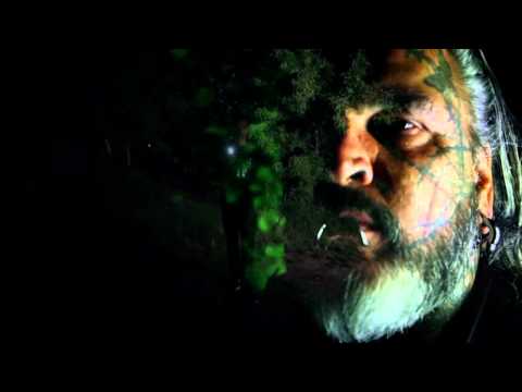 SIGNUM X DANDY DIARY