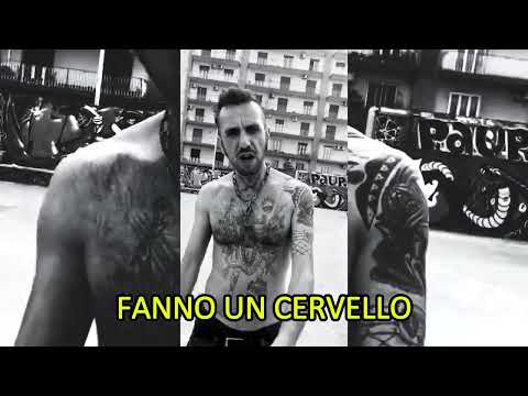 WILD CIRAZ - MOTOSEGA FREESTYLE