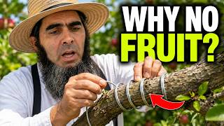 Do THIS Now for a Massive Fruit Harvest!