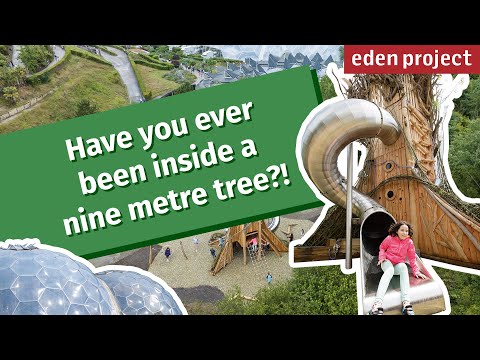Nature's Playground: Eden Project's incredible NEW adventure play area