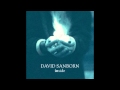 David Sanborn ~ When I'm With You (1999) Smooth Jazz R&B