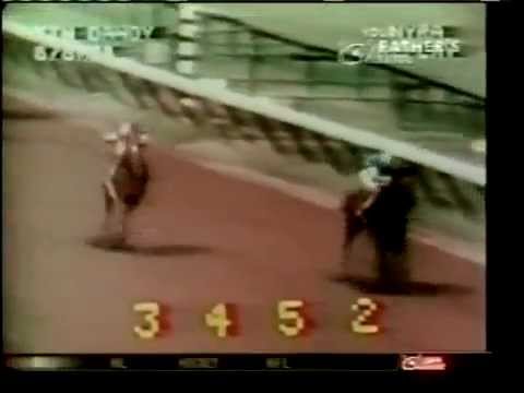 Affirmed - 1978 Jim Dandy Stakes