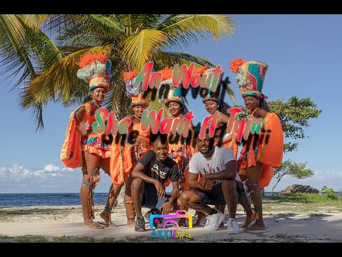 She Want ft Tyjii - An Wout (Clip Officiel) Prod by Tonxto & FYC