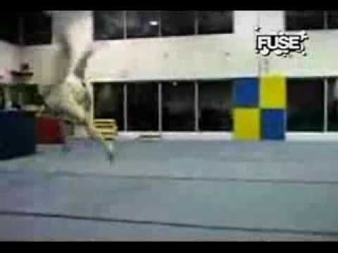 Fort Minor feat Mike Shinoda - Remember The Name