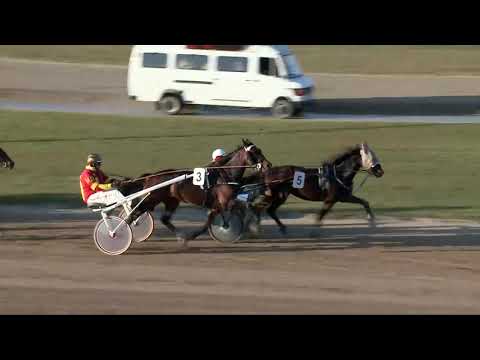 2017.11.04. 3. futam - NYERETLEN KÉTÉVESEK VERSENYE