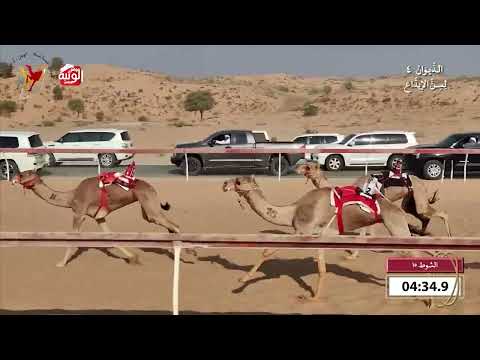  ش 15 (عون) لـ جاسم سيف بن طوق آل علي 8:4 , شارة الديوان 4 2026/10/25 اللبسه ايذاع 