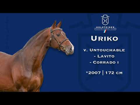 Holsteiner Verbandshengste 2023 | Uriko