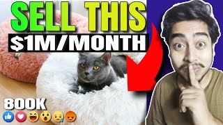 Top 5 $1,000,000 Shopify Cool Dropshipping Products ! (SHOPIFY DROPSHIPPING)