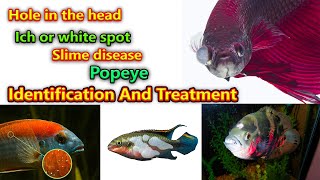 3. Hole in the head, Ich, Popeye, Slime disease Finding And Treatment In தமிழ் / Fish Aquarium Tamil